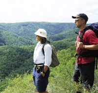 Sunshine Coast Hinterland Great Walk - Tweed Heads Accommodation