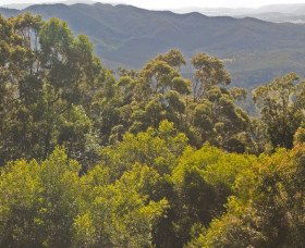 Reesville QLD Tweed Heads Accommodation