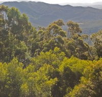Conondale National Park - Tweed Heads Accommodation