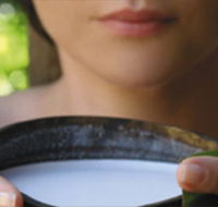 Ikatan Day Spa - Tweed Heads Accommodation