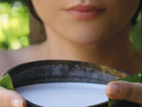 Ikatan Day Spa - Tweed Heads Accommodation 0