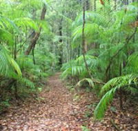 Delicia Road Conservation Park - Tweed Heads Accommodation