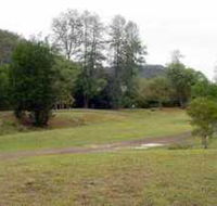 Brooyar State Forest - Tweed Heads Accommodation