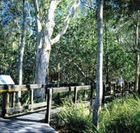 Kinaba Track - Tweed Heads Accommodation