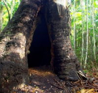 Tewantin National Park - Tweed Heads Accommodation