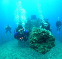Ex-HMAS Brisbane Conservation Park - Tweed Heads Accommodation