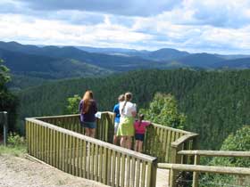 Kenilworth Forest Reserve - Tweed Heads Accommodation 0