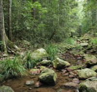 Amamoor State Forest - Tweed Heads Accommodation