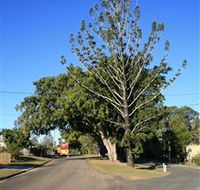 Anzac Avenue Memorial Trees Beerburrum - Tweed Heads Accommodation