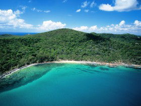 Noosa Heads Coastal Track - Tweed Heads Accommodation 0