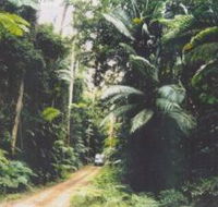 Conondale Great Walk - Tweed Heads Accommodation