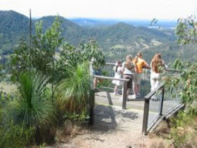 Mapleton Forest Reserve - Tweed Heads Accommodation 0