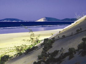 Cooloola, Great Sandy National Park - Tweed Heads Accommodation 0