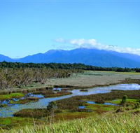 Eubenangee Swamp National Park - Tweed Heads Accommodation