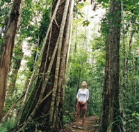 Wet Tropics - Tweed Heads Accommodation