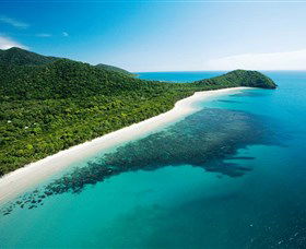 Cape Tribulation, Daintree National Park - Tweed Heads Accommodation 0