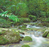 Mossman Gorge Daintree National Park - Tweed Heads Accommodation
