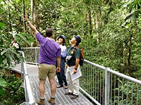 Daintree Discovery Centre - Tweed Heads Accommodation 0