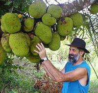 Cape Trib Exotic Fruit Farm - Tweed Heads Accommodation