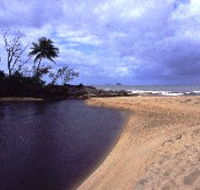Russell River National Park - Tweed Heads Accommodation