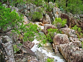 Crows Nest National Park - Tweed Heads Accommodation 0