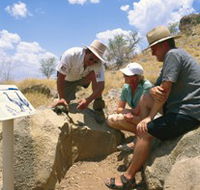 Riversleigh Fossil Fields - Tweed Heads Accommodation