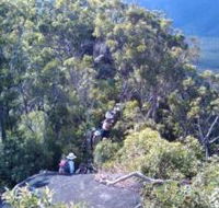 Mia Mia State Forest - Tweed Heads Accommodation