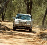 Ward River 4x4 Stock Route Trail - Tweed Heads Accommodation