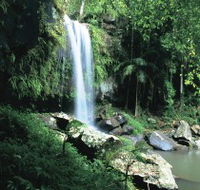 Curtis Falls Joalah Section - Tweed Heads Accommodation