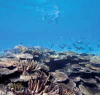 Australian Institute of Marine Science - Tweed Heads Accommodation