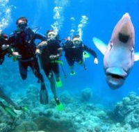 Gotham City Dive Site - Tweed Heads Accommodation