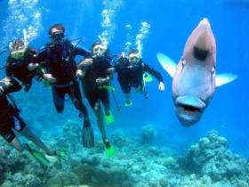 Gotham City Dive Site - Tweed Heads Accommodation 0