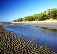Burrum Coast National Park - Tweed Heads Accommodation