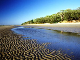 Burrum Coast National Park - Tweed Heads Accommodation 0