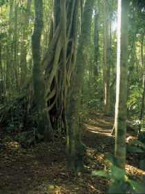  Tweed Heads Accommodation