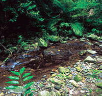 Wompoo Walk - Tweed Heads Accommodation