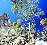 Mount Moffatt Section - Carnarvon National Park - Tweed Heads Accommodation