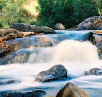 Crows Nest Falls - Tweed Heads Accommodation