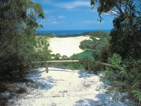 Lake Wabby Track - Tweed Heads Accommodation 0