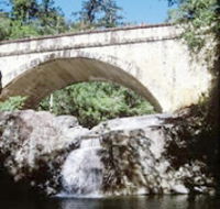 Mount Spec Paluma Range National Park - Tweed Heads Accommodation