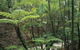 Fraser Island Great Walk - thumb 0