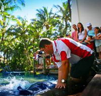 The Living Reef on Daydream Island - Tweed Heads Accommodation