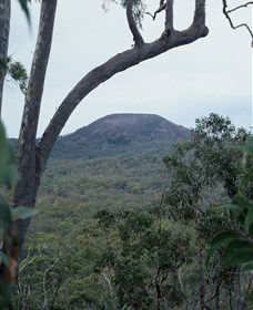 Mount Fox - Tweed Heads Accommodation 0