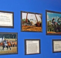 Town Hall Photographic Display - Tweed Heads Accommodation
