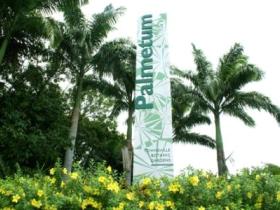 Townsville Palmetum - Tweed Heads Accommodation 0