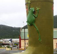 Golden Gumboot - Tweed Heads Accommodation