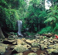 Tamborine National Park - Tweed Heads Accommodation