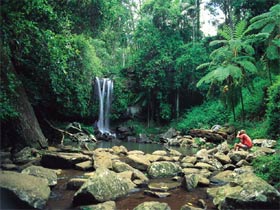 Tamborine National Park - Tweed Heads Accommodation 0
