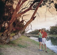 The Looking Glass - Tweed Heads Accommodation