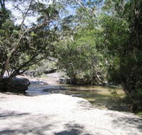 Davies Creek National Park and Dinden National Park - Tweed Heads Accommodation